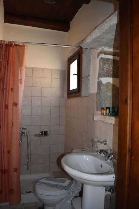 Traditional Villa With Pool In Sfakia Imbros Екстер'єр фото